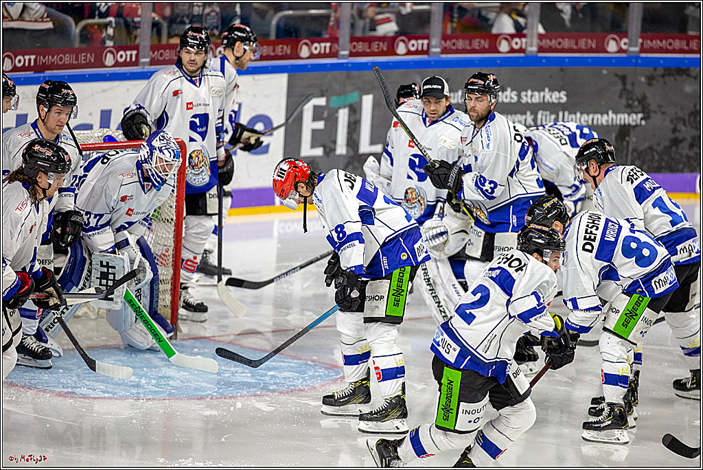 DEL; Koelner Haie - Straubing Tigers, 02.12.2018